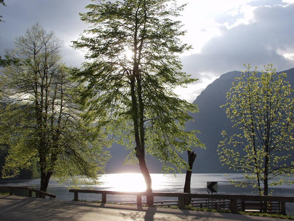 Apartments And Rooms Cerkovnik Bohinj Exterior photo