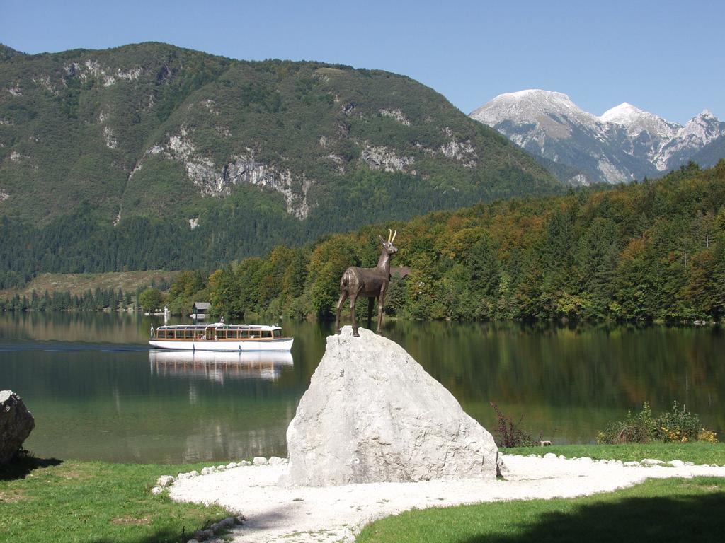 Apartments And Rooms Cerkovnik Bohinj Exterior photo